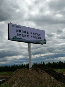 哈尔滨擎天柱广告牌